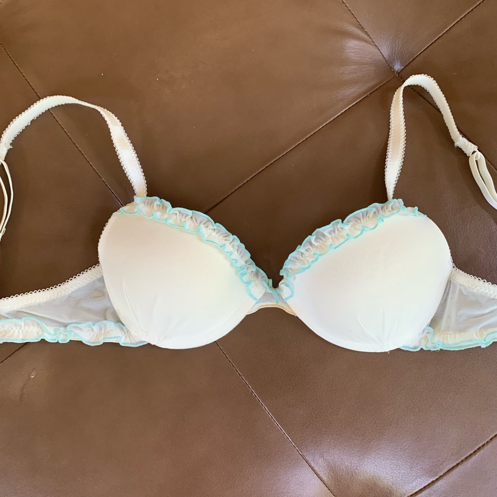 Blush Ruffled Mesh Bra - 32B - Picture 1 of 8